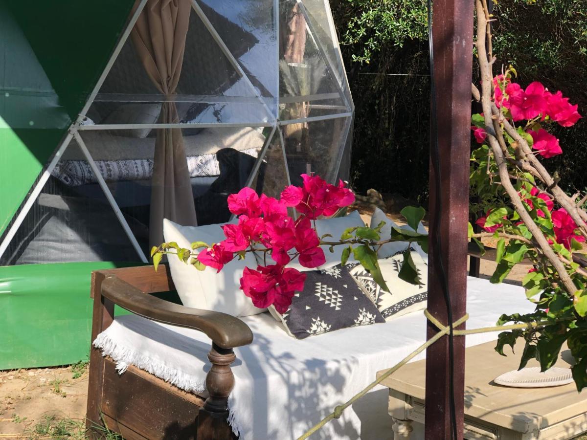 فندق Eco Spirit طريفة المظهر الخارجي الصورة